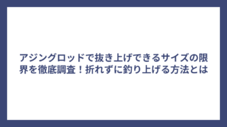 アジングロッドで抜き上げできるサイズの限界を徹底調査！折れずに釣り上げる方法とは