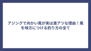 アジングで向かい風が実は激アツな理由！風を味方につける釣り方の全て