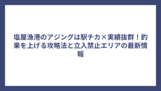 塩屋漁港のアジングは駅チカ×実績抜群！釣果を上げる攻略法と立入禁止エリアの最新情報