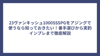 23ヴァンキッシュ1000SSSPGをアジングで使うなら知っておきたい！番手選びから実釣インプレまで徹底解説