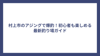 村上市のアジングで爆釣！初心者も楽しめる最新釣り場ガイド