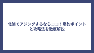 北浦でアジングするならココ！爆釣ポイントと攻略法を徹底解説