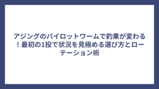 アジングのパイロットワームで釣果が変わる！最初の1投で状況を見極める選び方とローテーション術