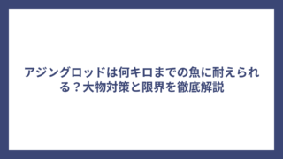 アジングロッドは何キロまでの魚に耐えられる？大物対策と限界を徹底解説