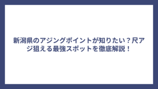 新潟県のアジングポイントが知りたい？尺アジ狙える最強スポットを徹底解説！
