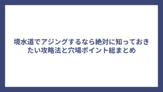 境水道でアジングするなら絶対に知っておきたい攻略法と穴場ポイント総まとめ