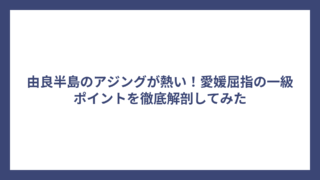 由良半島のアジングが熱い！愛媛屈指の一級ポイントを徹底解剖してみた