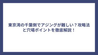 東京湾の千葉側でアジングが難しい？攻略法と穴場ポイントを徹底解説！