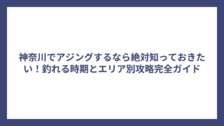 神奈川でアジングするなら絶対知っておきたい！釣れる時期とエリア別攻略完全ガイド