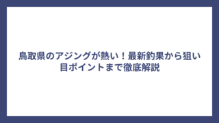 鳥取県のアジングが熱い！最新釣果から狙い目ポイントまで徹底解説