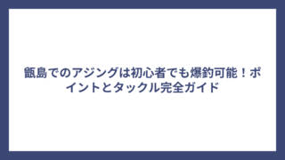 甑島でのアジングは初心者でも爆釣可能！ポイントとタックル完全ガイド