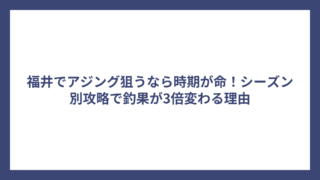 福井でアジング狙うなら時期が命！シーズン別攻略で釣果が3倍変わる理由