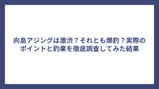 向島アジングは激渋？それとも爆釣？実際のポイントと釣果を徹底調査してみた結果