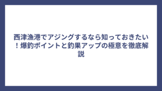 西津漁港でアジングするなら知っておきたい！爆釣ポイントと釣果アップの極意を徹底解説