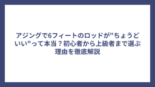 アジングで6フィートのロッドが”ちょうどいい”って本当？初心者から上級者まで選ぶ理由を徹底解説