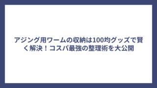 アジング用ワームの収納は100均グッズで賢く解決！コスパ最強の整理術を大公開