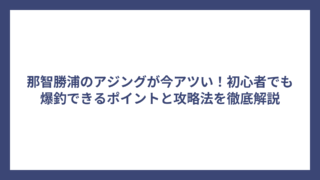 那智勝浦のアジングが今アツい！初心者でも爆釣できるポイントと攻略法を徹底解説