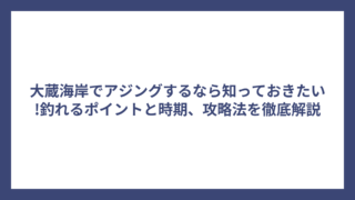 大蔵海岸でアジングするなら知っておきたい!釣れるポイントと時期、攻略法を徹底解説