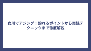 女川でアジング！釣れるポイントから実践テクニックまで徹底解説