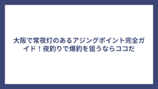 大阪で常夜灯のあるアジングポイント完全ガイド！夜釣りで爆釣を狙うならココだ