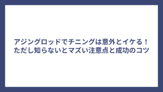アジングロッドでチニングは意外とイケる！ただし知らないとマズい注意点と成功のコツ