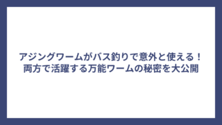アジングワームがバス釣りで意外と使える！両方で活躍する万能ワームの秘密を大公開