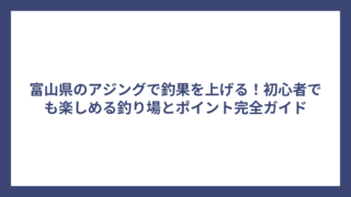 富山県のアジングで釣果を上げる！初心者でも楽しめる釣り場とポイント完全ガイド