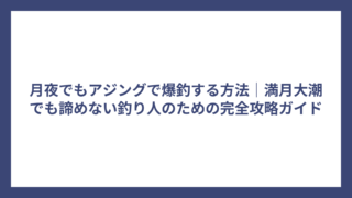 月夜でもアジングで爆釣する方法｜満月大潮でも諦めない釣り人のための完全攻略ガイド