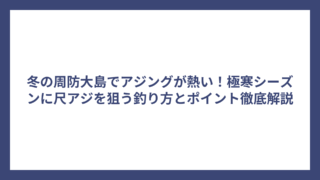 冬の周防大島でアジングが熱い！極寒シーズンに尺アジを狙う釣り方とポイント徹底解説