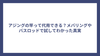 アジングの竿って代用できる？メバリングやバスロッドで試してわかった真実