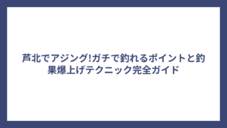芦北でアジング!ガチで釣れるポイントと釣果爆上げテクニック完全ガイド