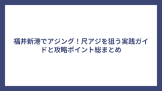 福井新港でアジング！尺アジを狙う実践ガイドと攻略ポイント総まとめ