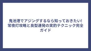 鬼池港でアジングするなら知っておきたい!常夜灯攻略と良型連発の実釣テクニック完全ガイド