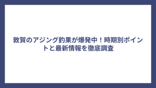 敦賀のアジング釣果が爆発中！時期別ポイントと最新情報を徹底調査