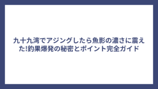 九十九湾でアジングしたら魚影の濃さに震えた!釣果爆発の秘密とポイント完全ガイド