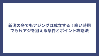 新潟の冬でもアジングは成立する！寒い時期でも尺アジを狙える条件とポイント攻略法