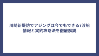川崎新堤防でアジングは今でもできる?渡船情報と実釣攻略法を徹底解説