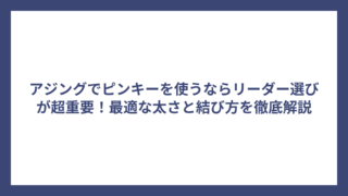 アジングでピンキーを使うならリーダー選びが超重要！最適な太さと結び方を徹底解説