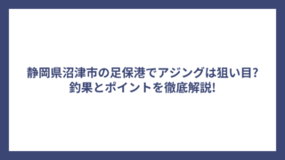 静岡県沼津市の足保港でアジングは狙い目?釣果とポイントを徹底解説!