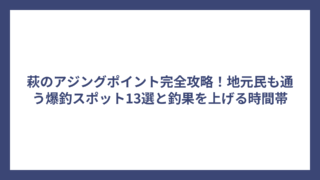 萩のアジングポイント完全攻略！地元民も通う爆釣スポット13選と釣果を上げる時間帯