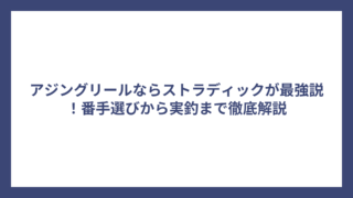 アジングリールならストラディックが最強説！番手選びから実釣まで徹底解説