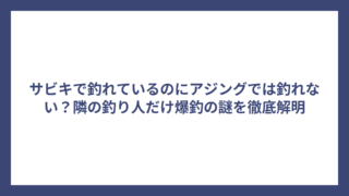 サビキで釣れているのにアジングでは釣れない？隣の釣り人だけ爆釣の謎を徹底解明