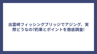 出雲崎フィッシングブリッジでアジング、実際どうなの?釣果とポイントを徹底調査!