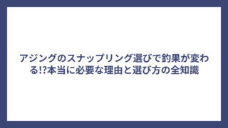 アジングのスナップリング選びで釣果が変わる!?本当に必要な理由と選び方の全知識