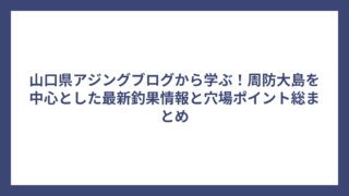 山口県アジングブログから学ぶ！周防大島を中心とした最新釣果情報と穴場ポイント総まとめ