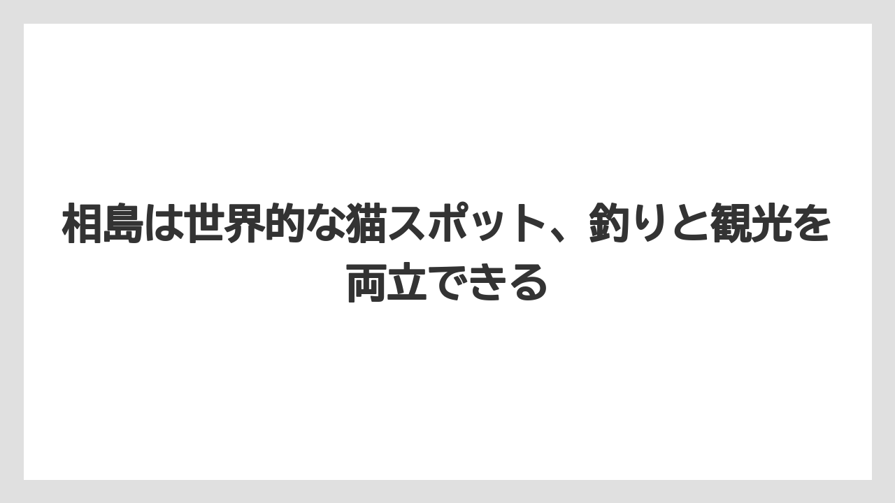 【アジング】相島は世界的な猫スポット、釣りと観光を両立できる