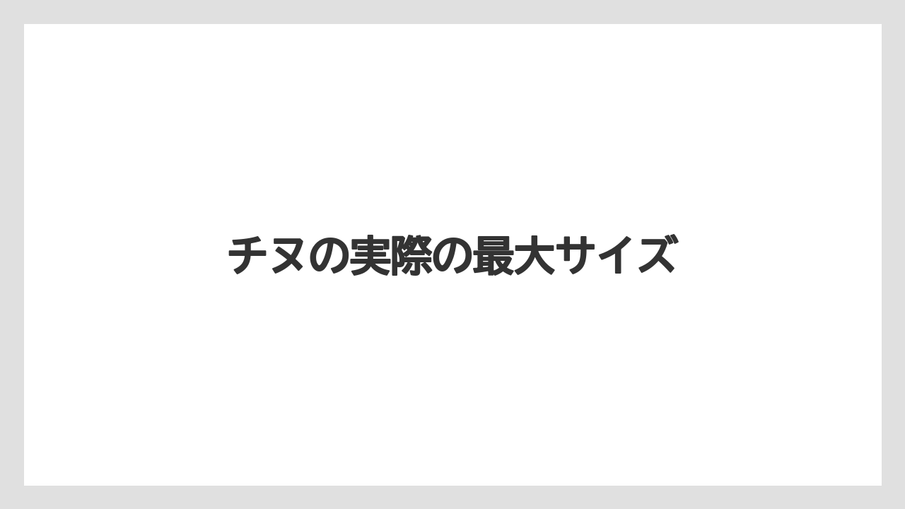 【チヌ】チヌの実際の最大サイズ