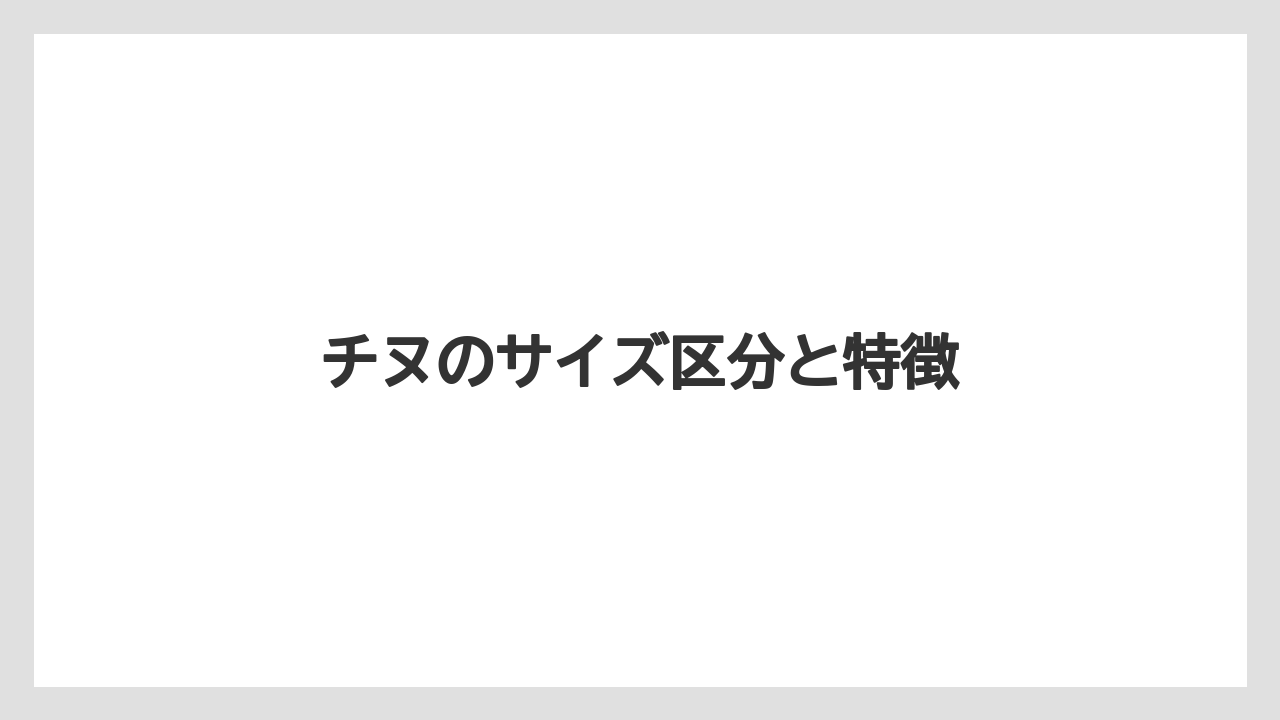 【チヌ】チヌのサイズ区分と特徴