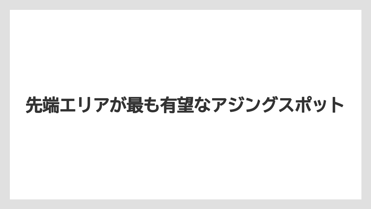 【アジング】先端エリアが最も有望なアジングスポット