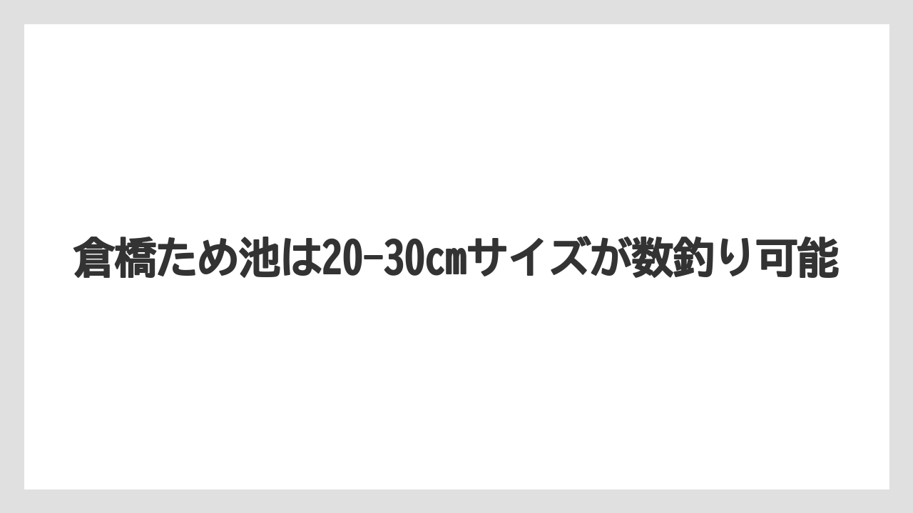【バス釣り】倉橋ため池は20-30cmサイズが数釣り可能